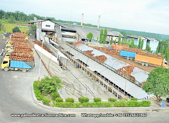 Palm oil production process