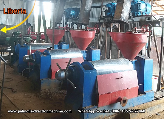 2TPH palm kernel oil mill plant in Liberia