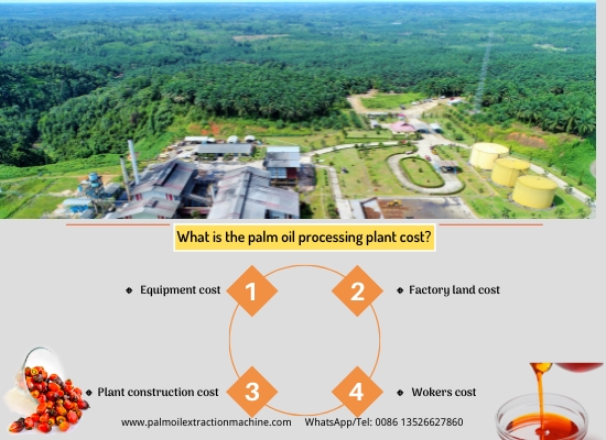 What is the palm oil processing plant cost?