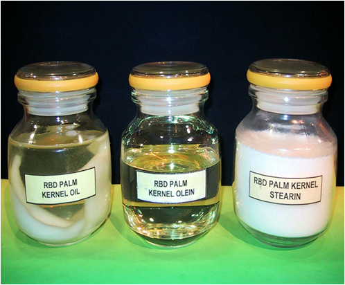 rbd palm kernel oil 