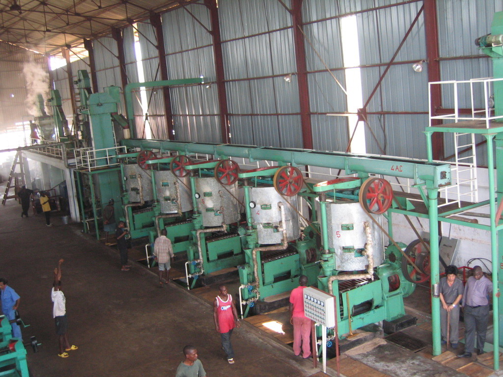 palm kernel oil extraction machine