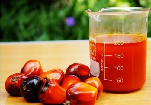 red palm oil