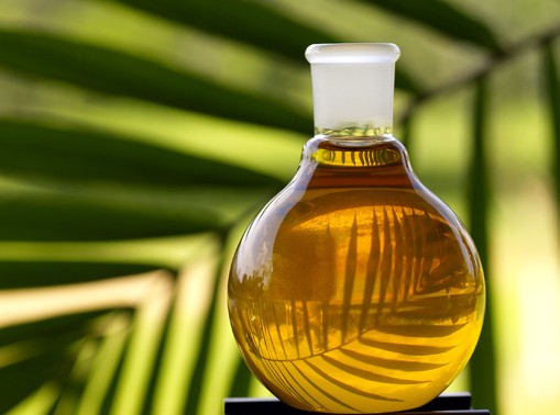 refined palm oil