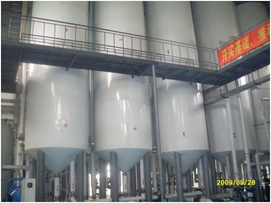 Palm oil refinery plant