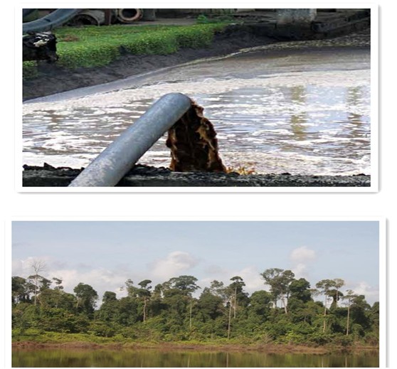 palm oil effluent