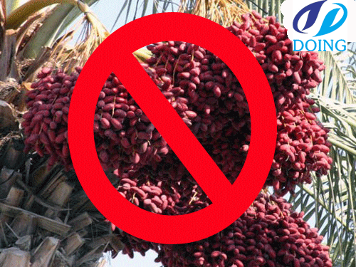 Iran ban palm oil import