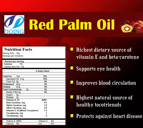 palm oil production plant