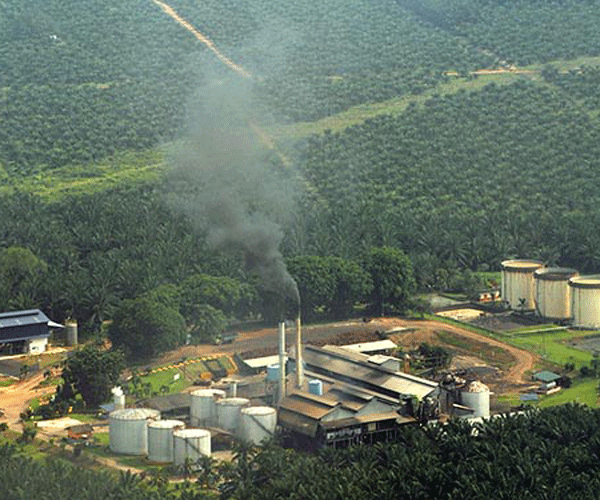 palm oil processing machine