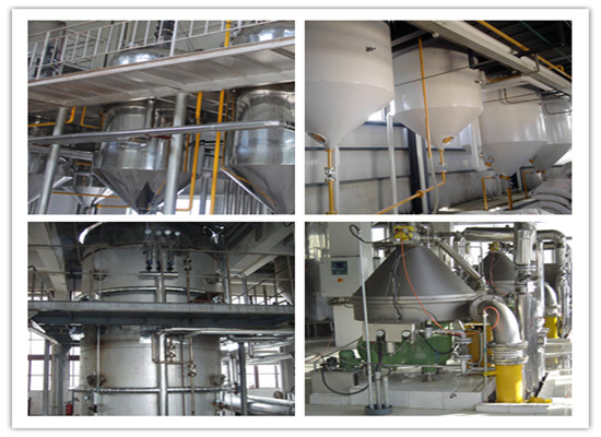 small scale palm oil refining production line 