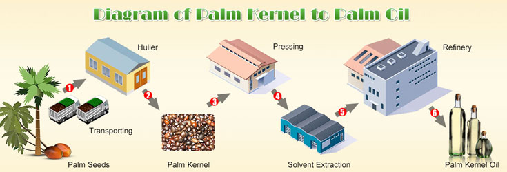 palm oil mill plant