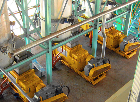 screw palm oil press machine 