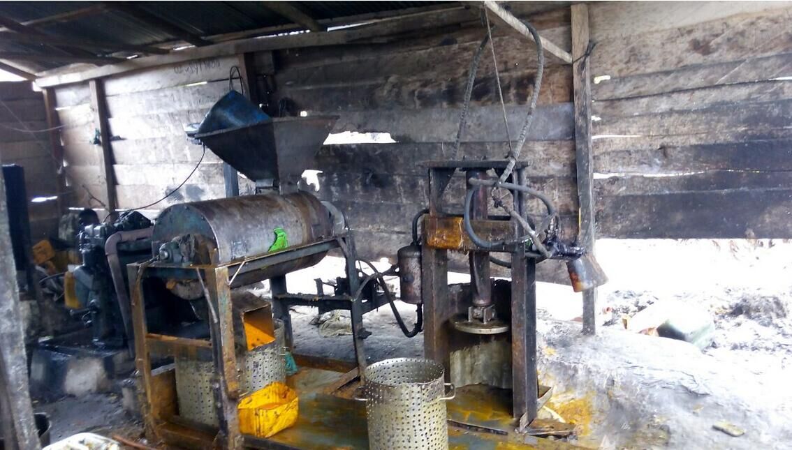 palm fruit oil press machine
