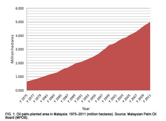 palm oil