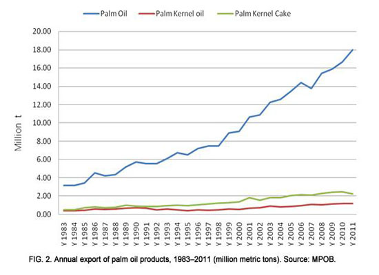 palm oil