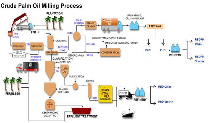 palm oil press process