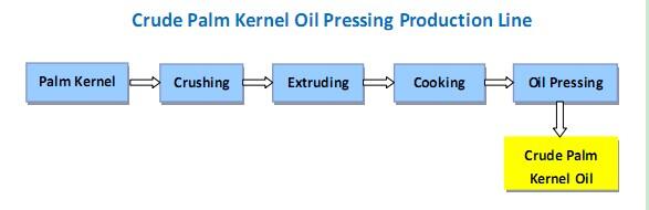 palm kernel plant