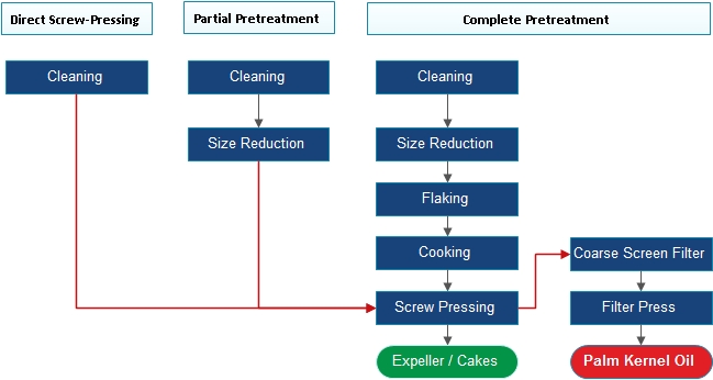 palm kernel oil extraction process