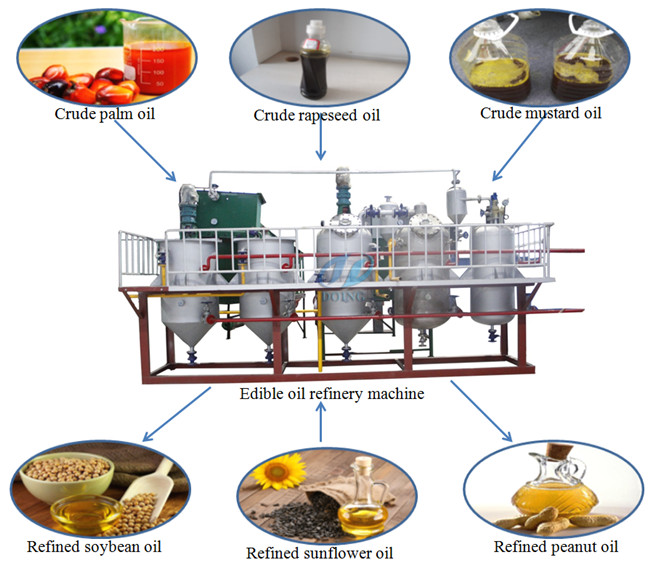 Manufacturing Crude palm kernel oil refinery processing machine