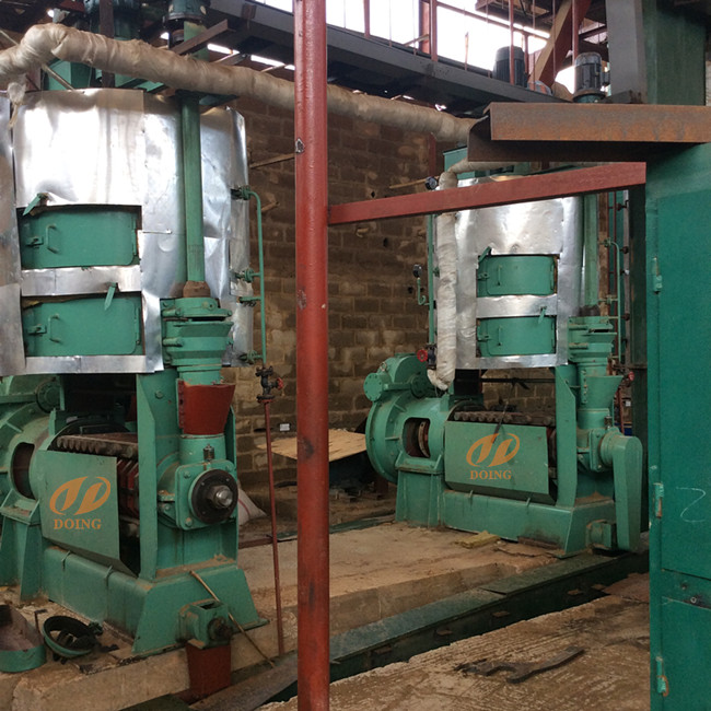 palm kernel press machine