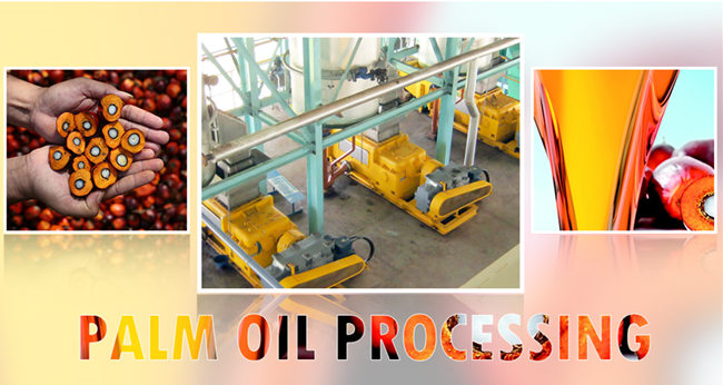 palm oil machine