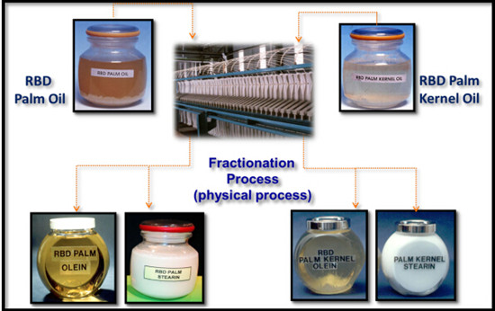 palm oil fractionation