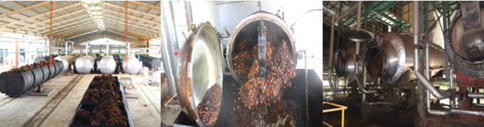 palm oil production machine 