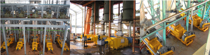 palm oil production machine 