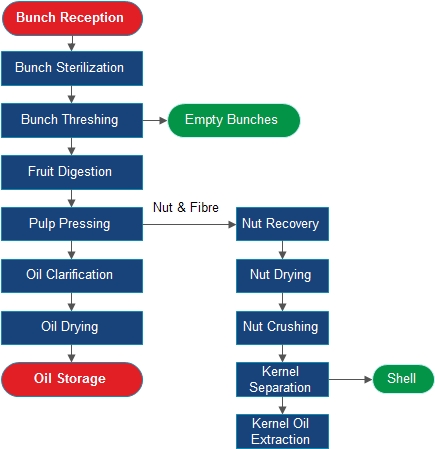 palm oil mill process 