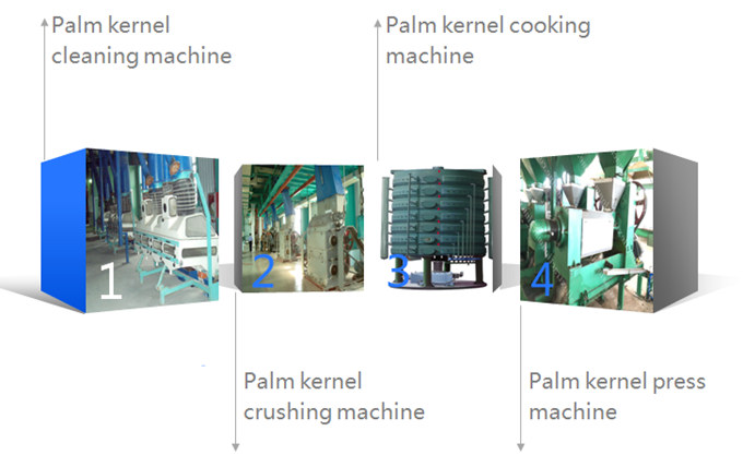 palm kernel oil extraction machine 