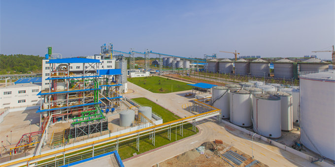 palm kernel oil refinery machine