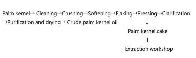 palm kernel oil pre-press process