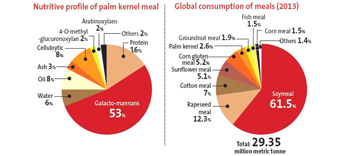 palm kernel oil business overview