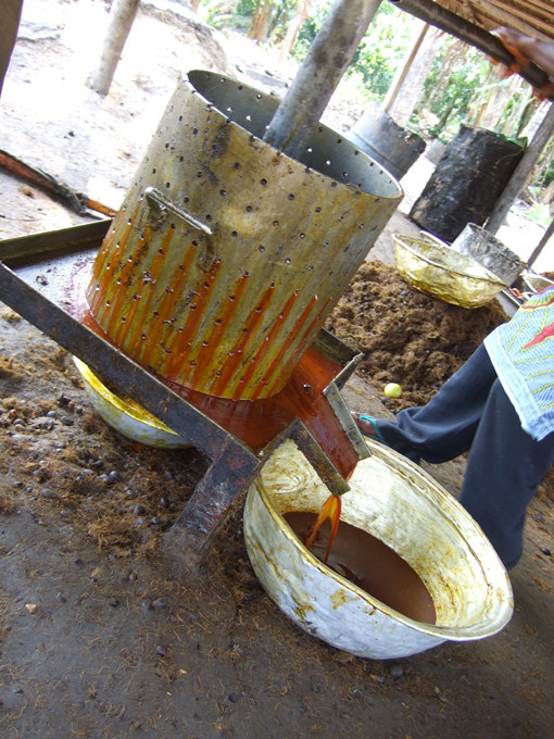 palm oil squeezing machine 