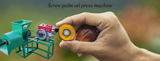 palm oil press machine 