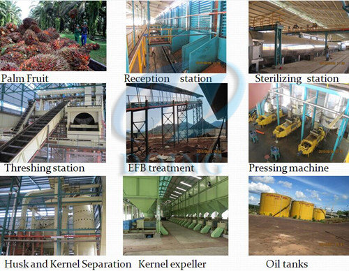 palm oil production line 