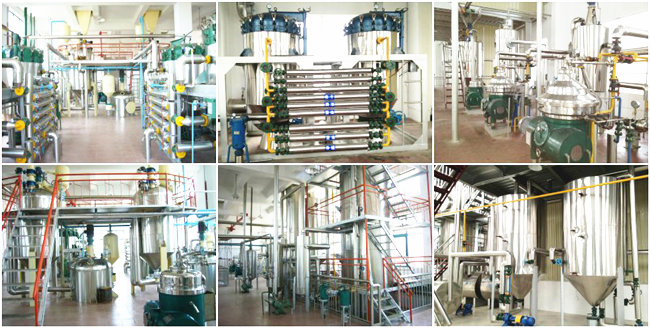 large capacity palm kernel oil refinery equipment