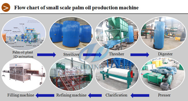 palm oil processing plant 