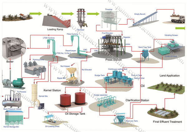 palm oil extraction process