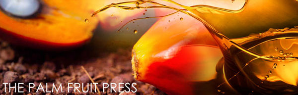 palm oil mill process