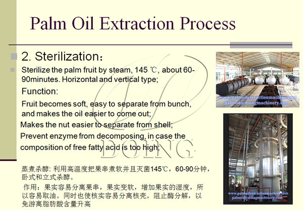 palm fruit sterilizing machine 