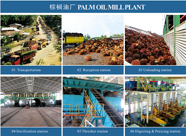 palm oil production machine 