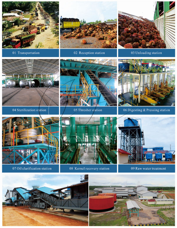 palm oil production process