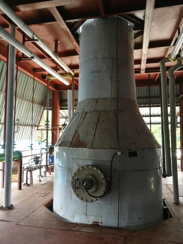 palm oil degumming & deodorization tower