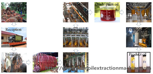 palm oil production machine 
