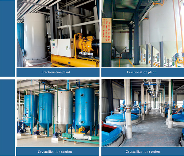 palm kernel oil fractionation plant 