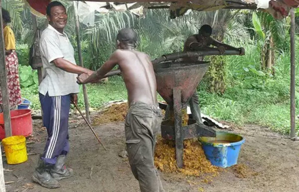 palm oil processing process