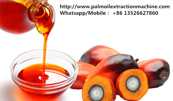 red palm oil in Nigeria 