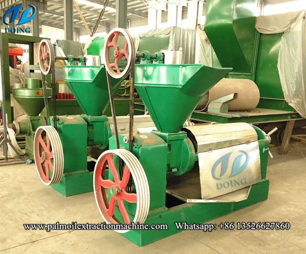 palm kernel oil press machine 