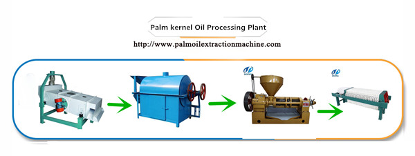 palm kernel oil processing plant 