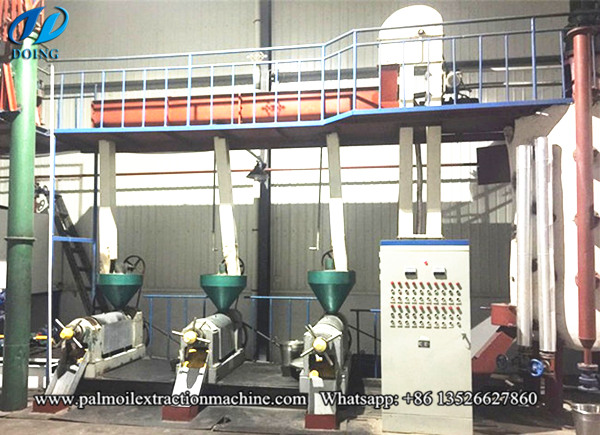 palm kernel oil extraction machine 